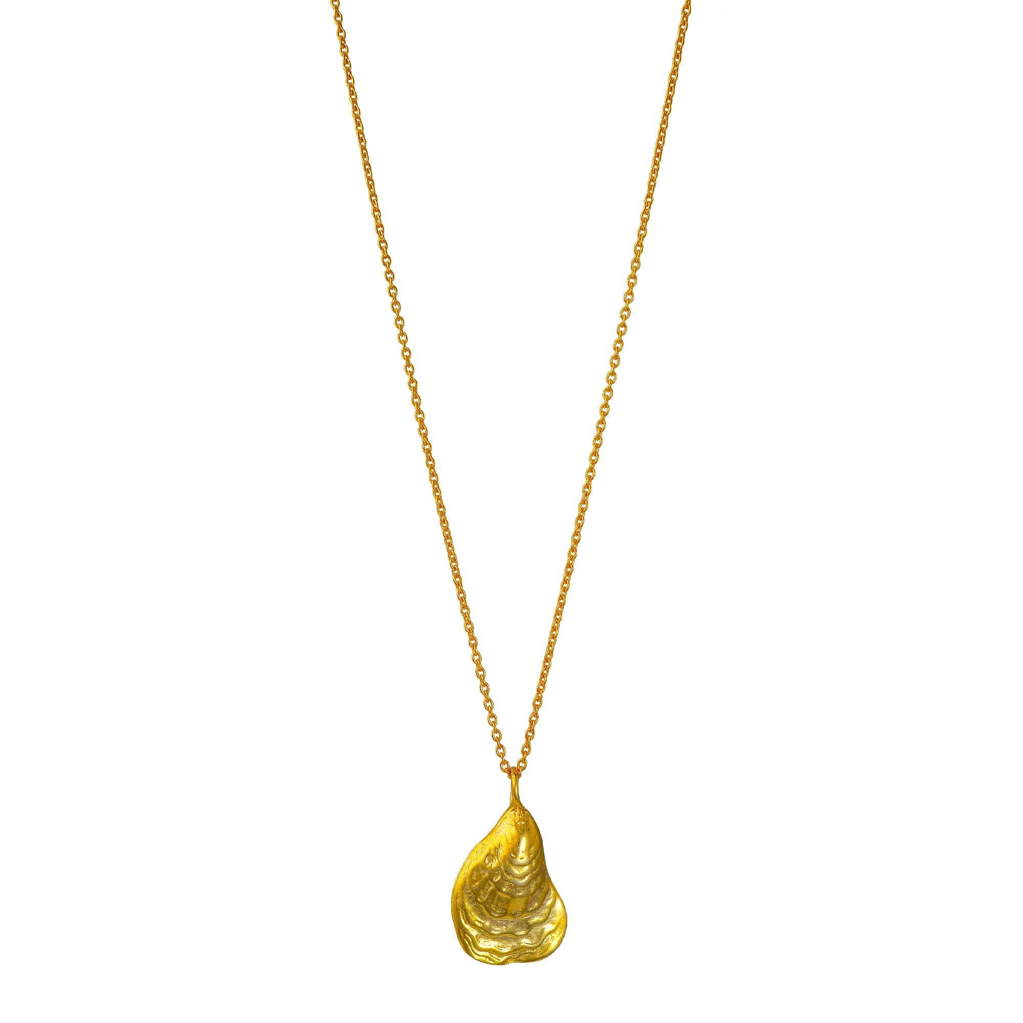 Oyster Shell Pendant Necklace - Gold, Silver